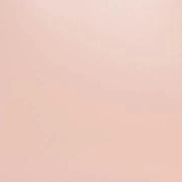 Mini Shirley Leather Bag | Blush — 10