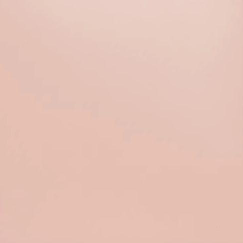Shirley Leather Bag | Blush — 7