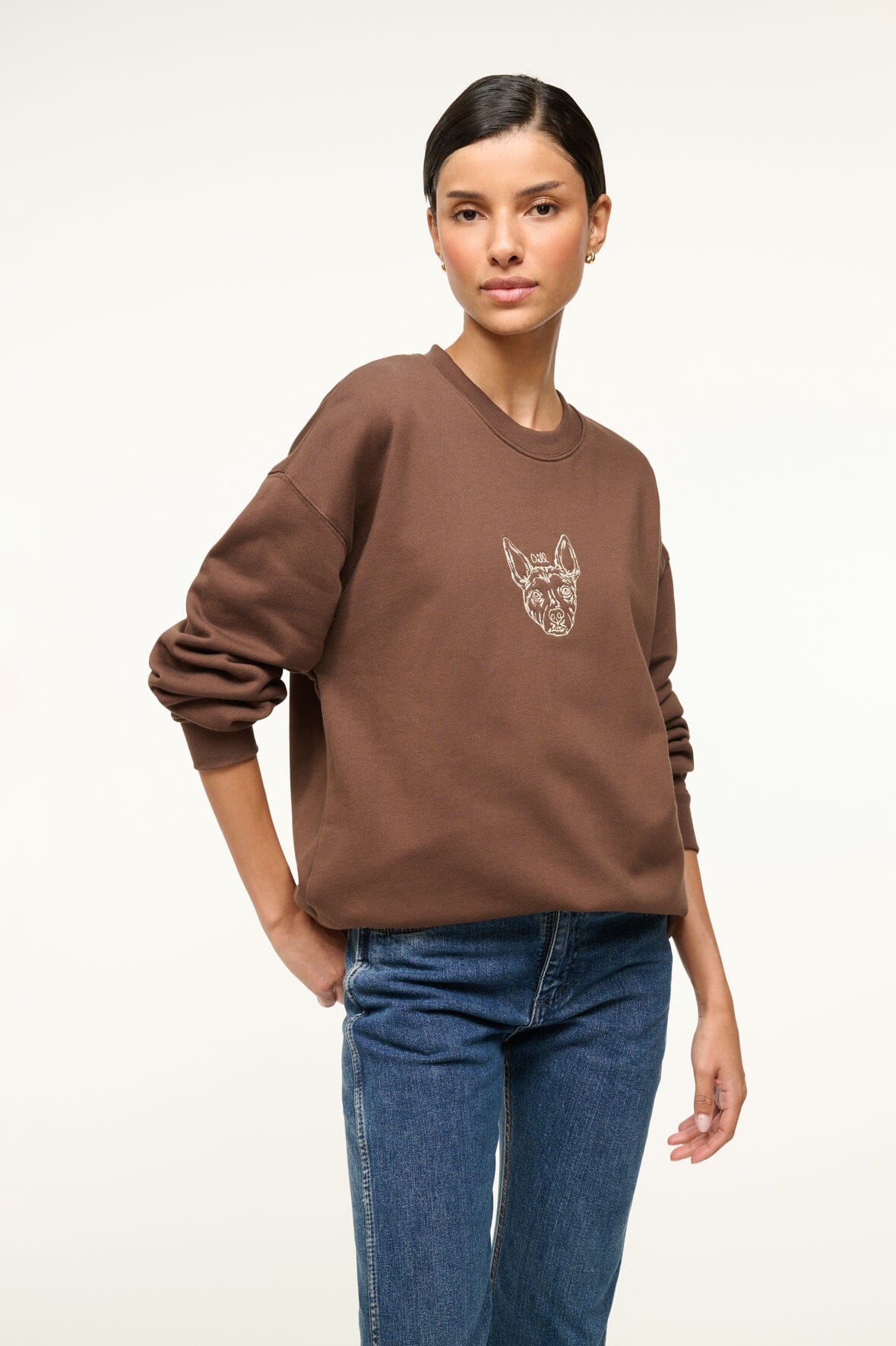 Custom STAUD x C.Bonz Oversized Sweatshirt | Brown — 4