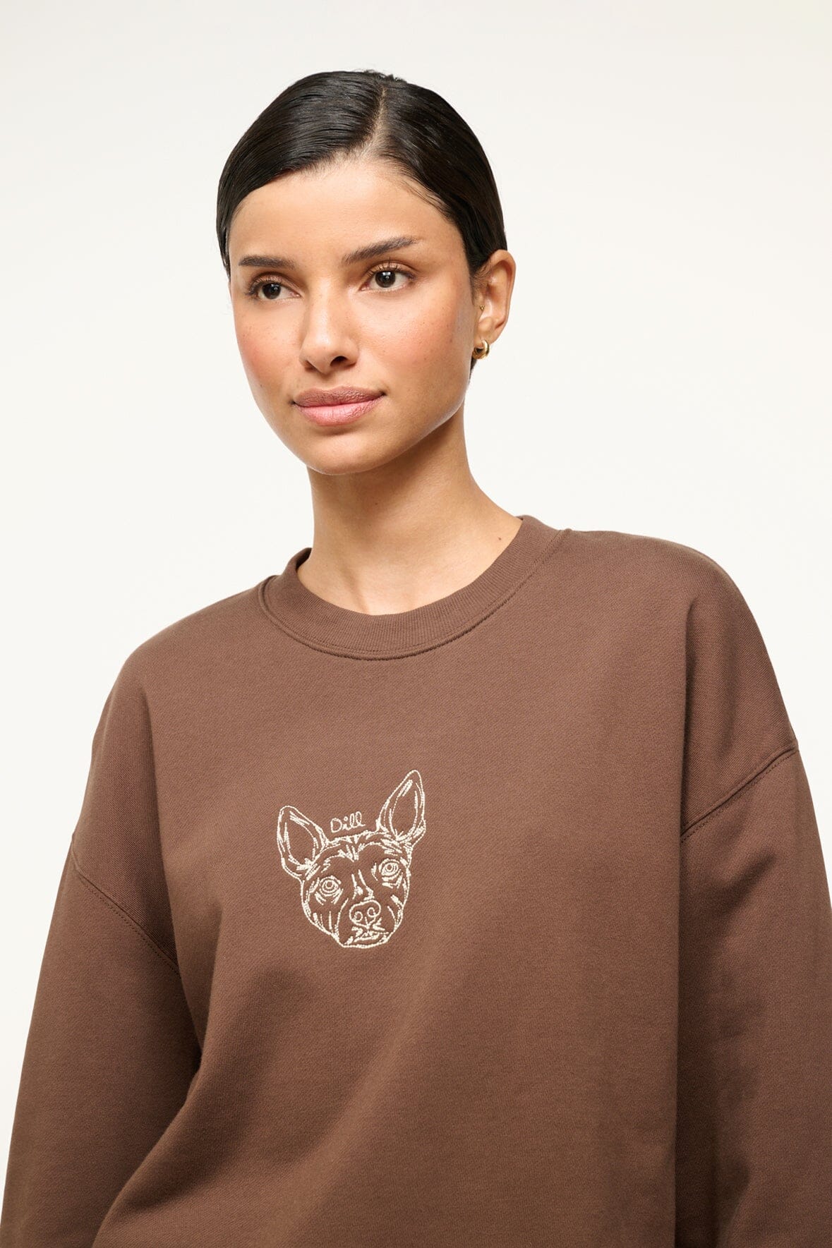 Custom STAUD x C.Bonz Oversized Sweatshirt | Brown — 6