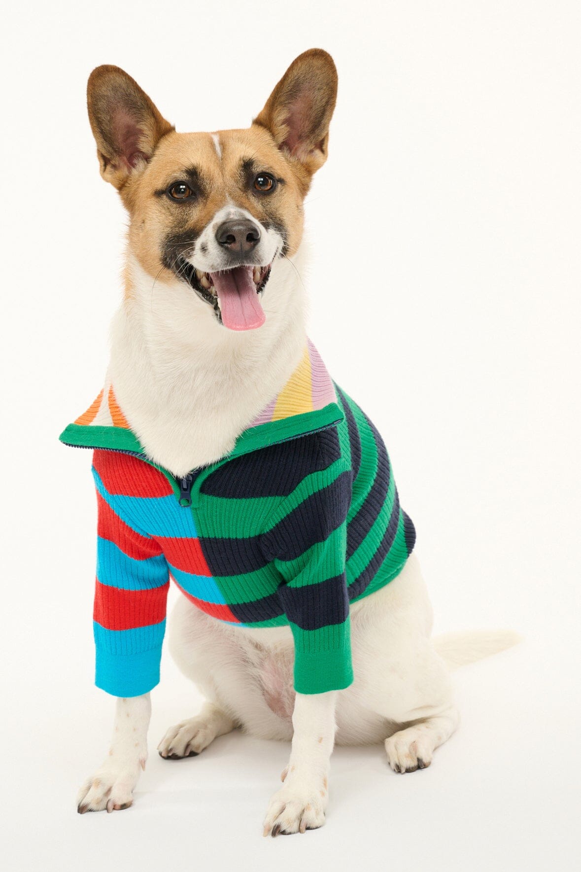 Pet Hampton Sweater | Cabana Stripe Multi — 1