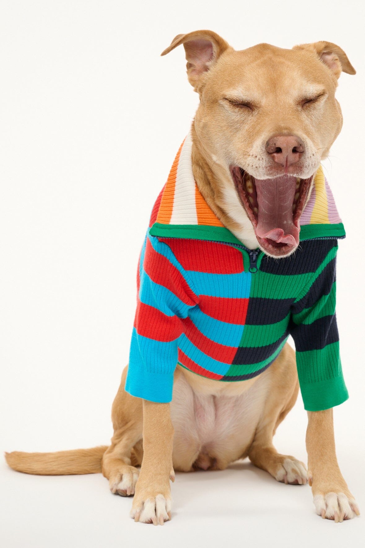 Pet Hampton Sweater | Cabana Stripe Multi — 4