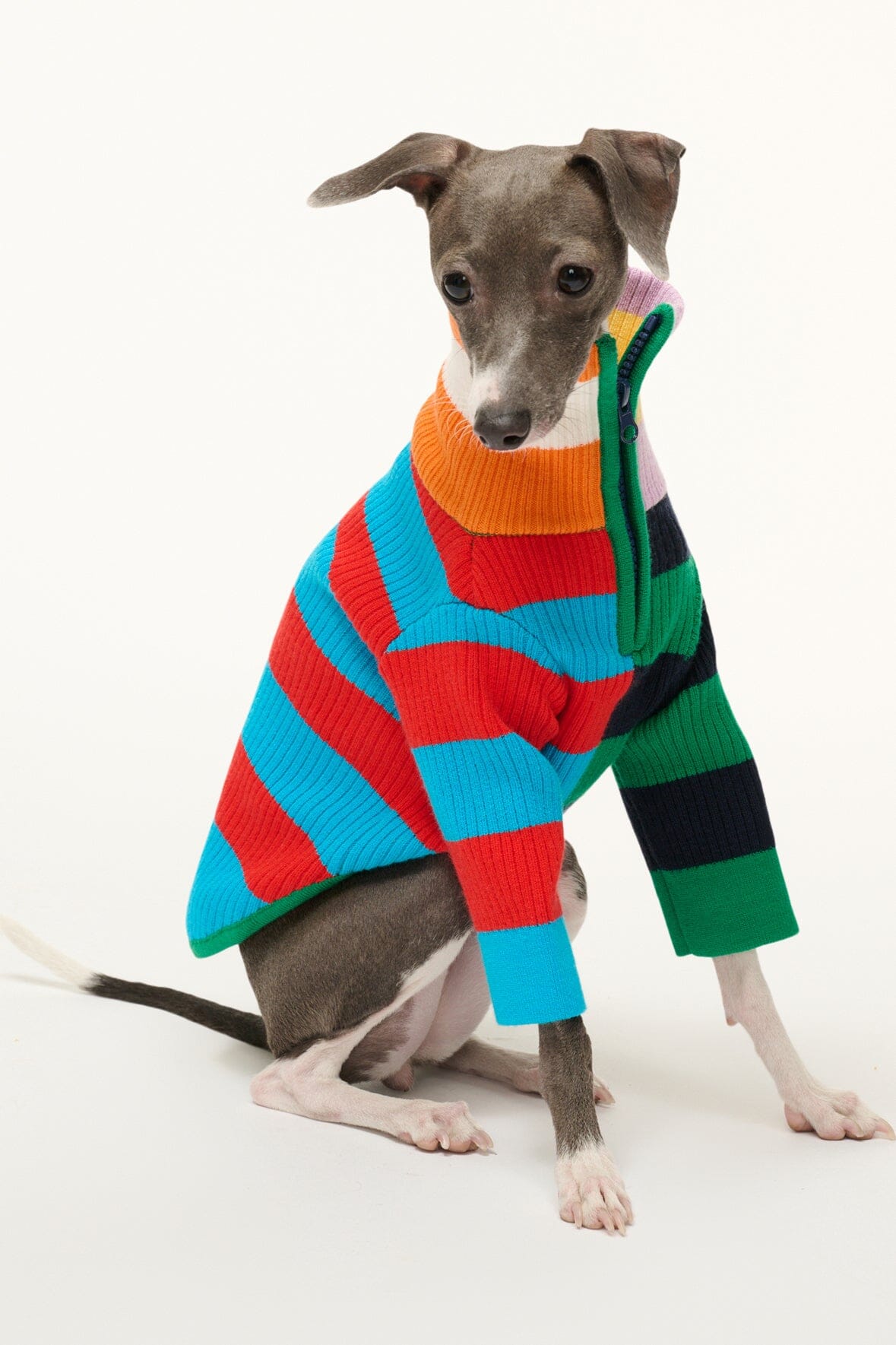 Pet Hampton Sweater | Cabana Stripe Multi — 3