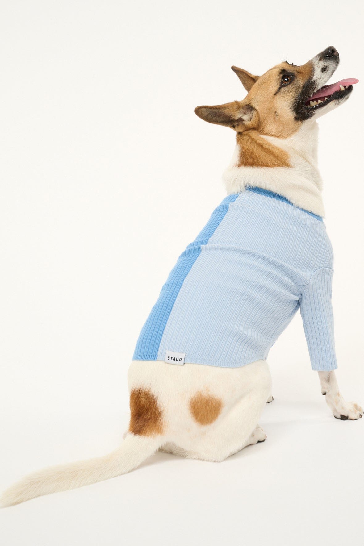 Pet Shoko Sweater | Periwinkle Multi — 3