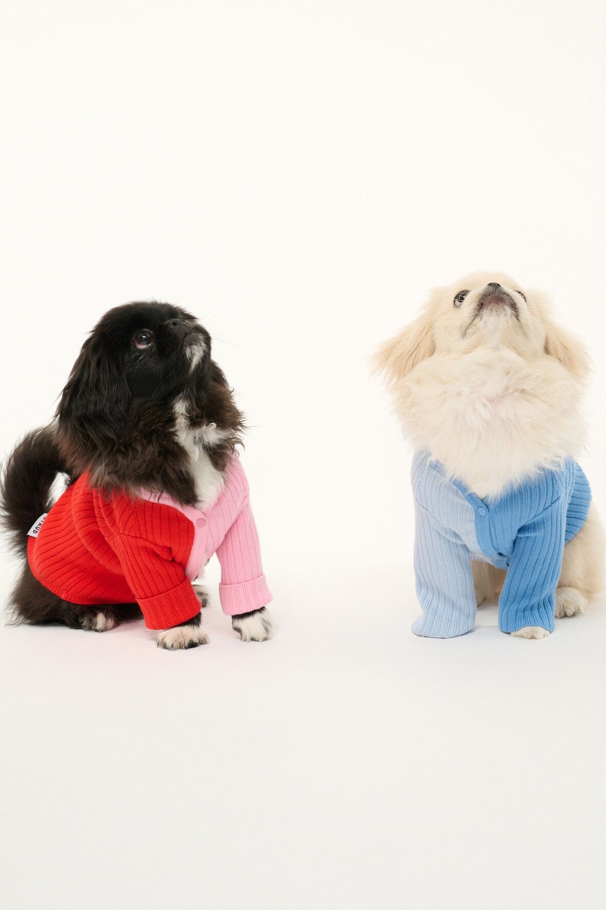 Pet Shoko Sweater | Periwinkle Multi — 6