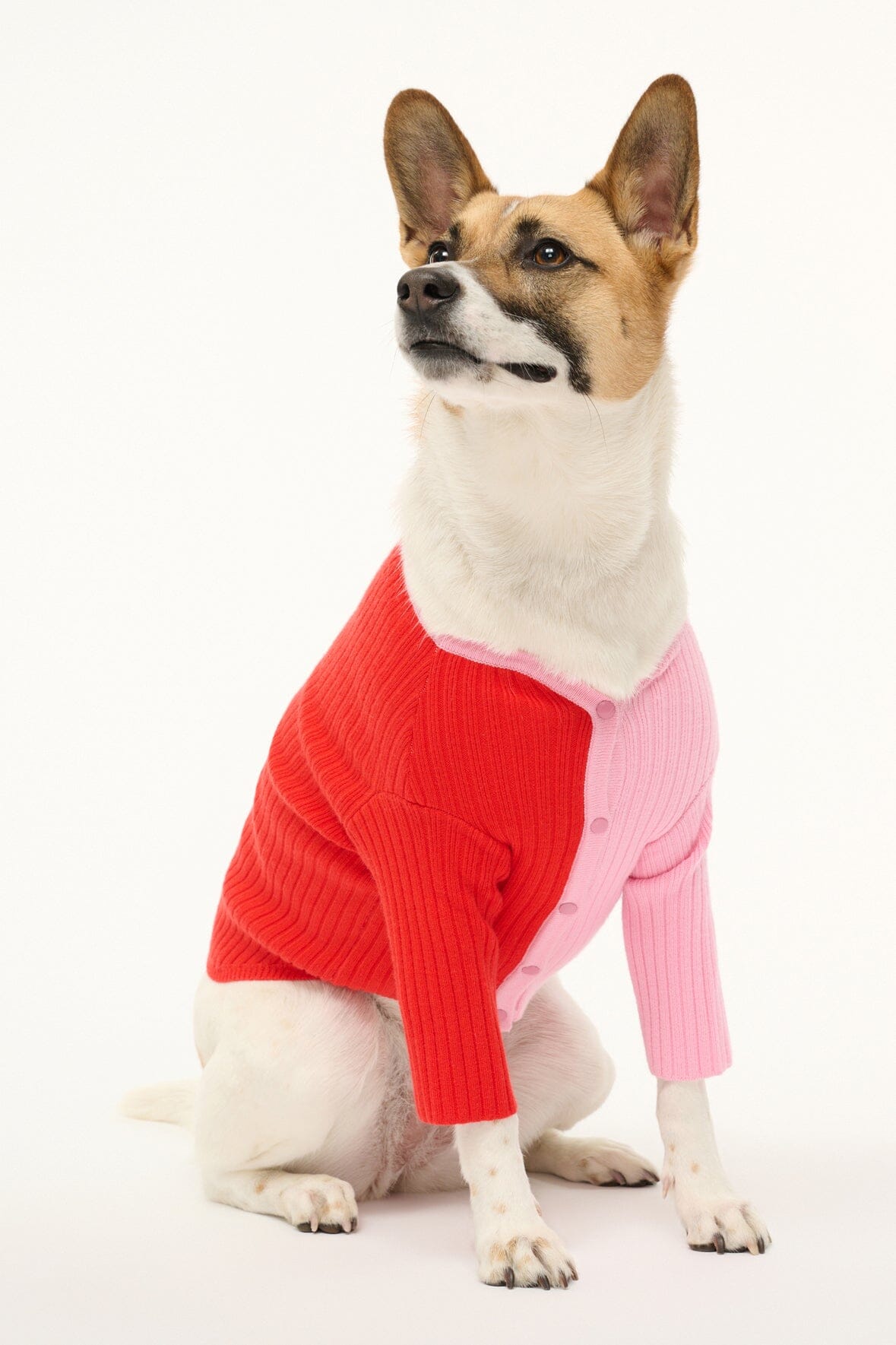 Pet Shoko Sweater | Poppy Rosebud — 3