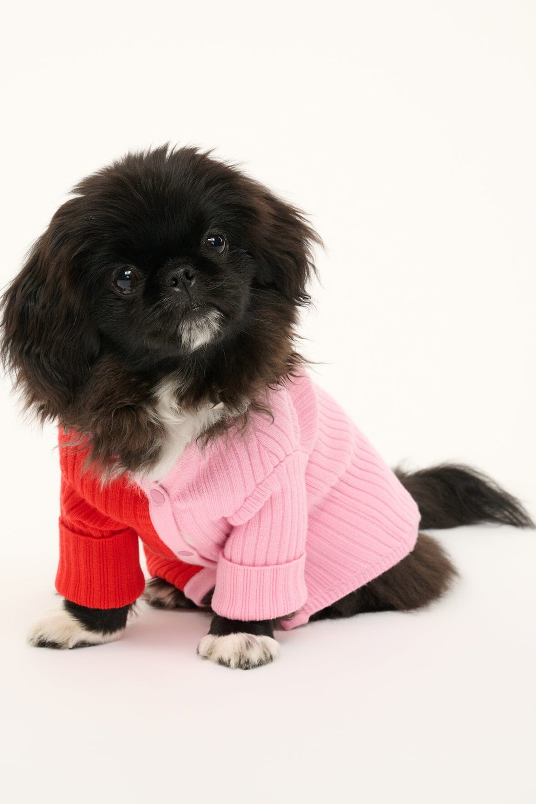 Pet Shoko Sweater | Poppy Rosebud — 1