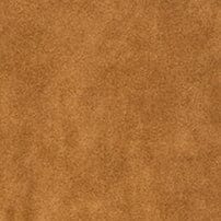 Natalie Suede Jacket | Tan — 7