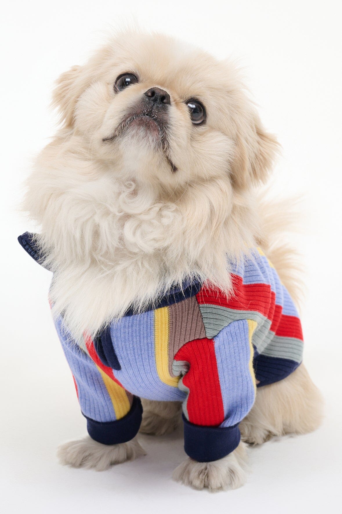 Pet Hampton Sweater | Market Stripe — 3