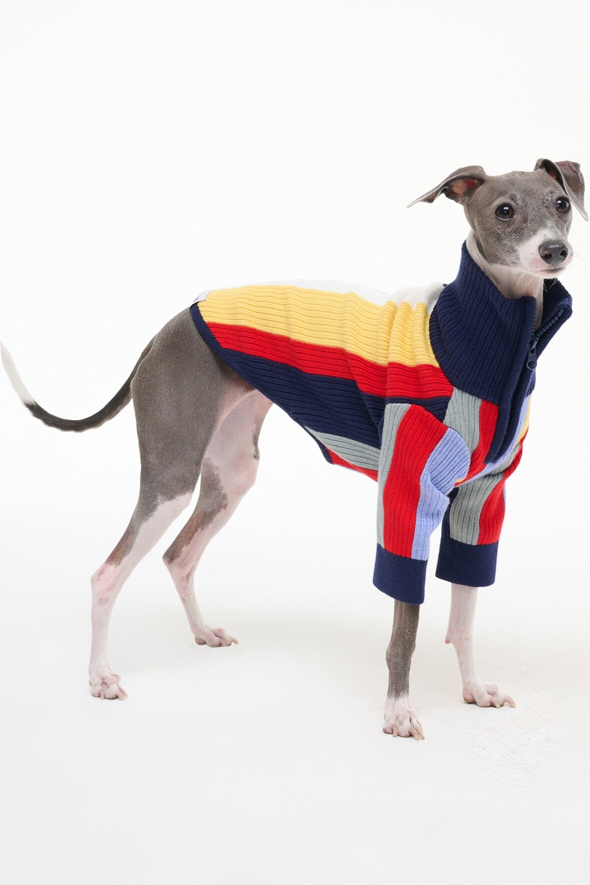 Pet Hampton Sweater | Market Stripe — 6