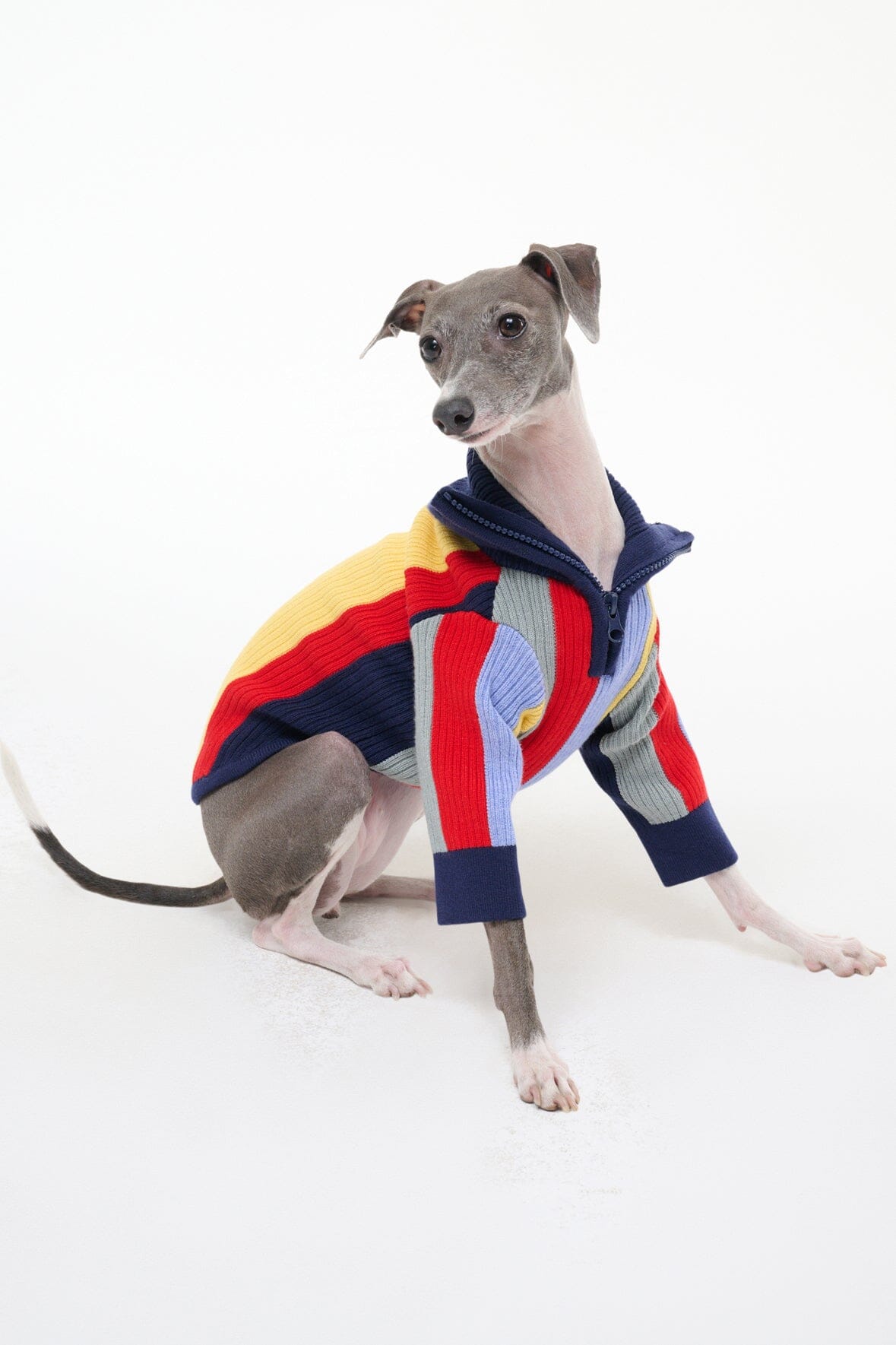 Pet Hampton Sweater | Market Stripe — 1