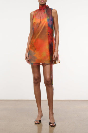 Albee Mini Dress | Superbloom — 1