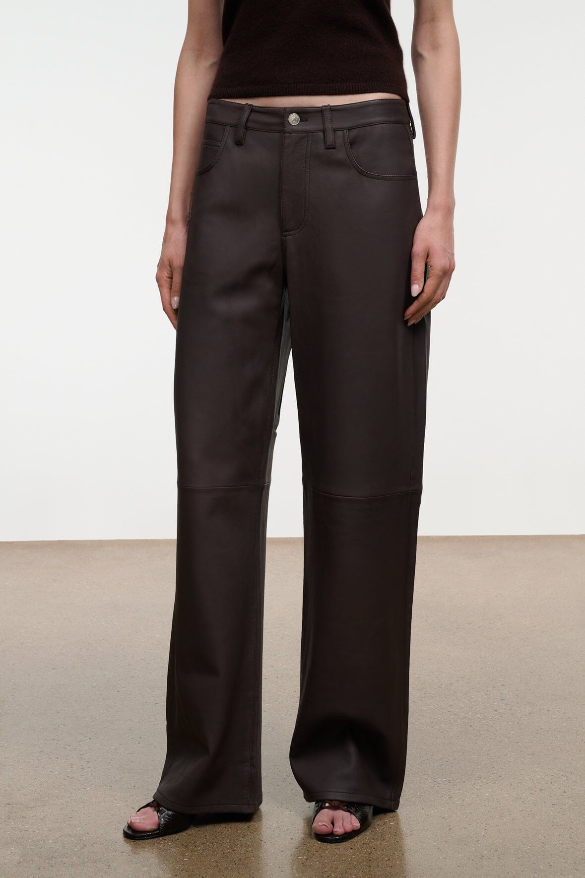 Gus Leather Pant | Earth — 2