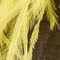Winslow Bag | Espresso Canary — 8