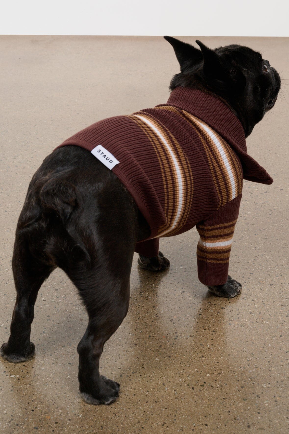 Pet Hampton Sweater | Tobacco Stripe — 3