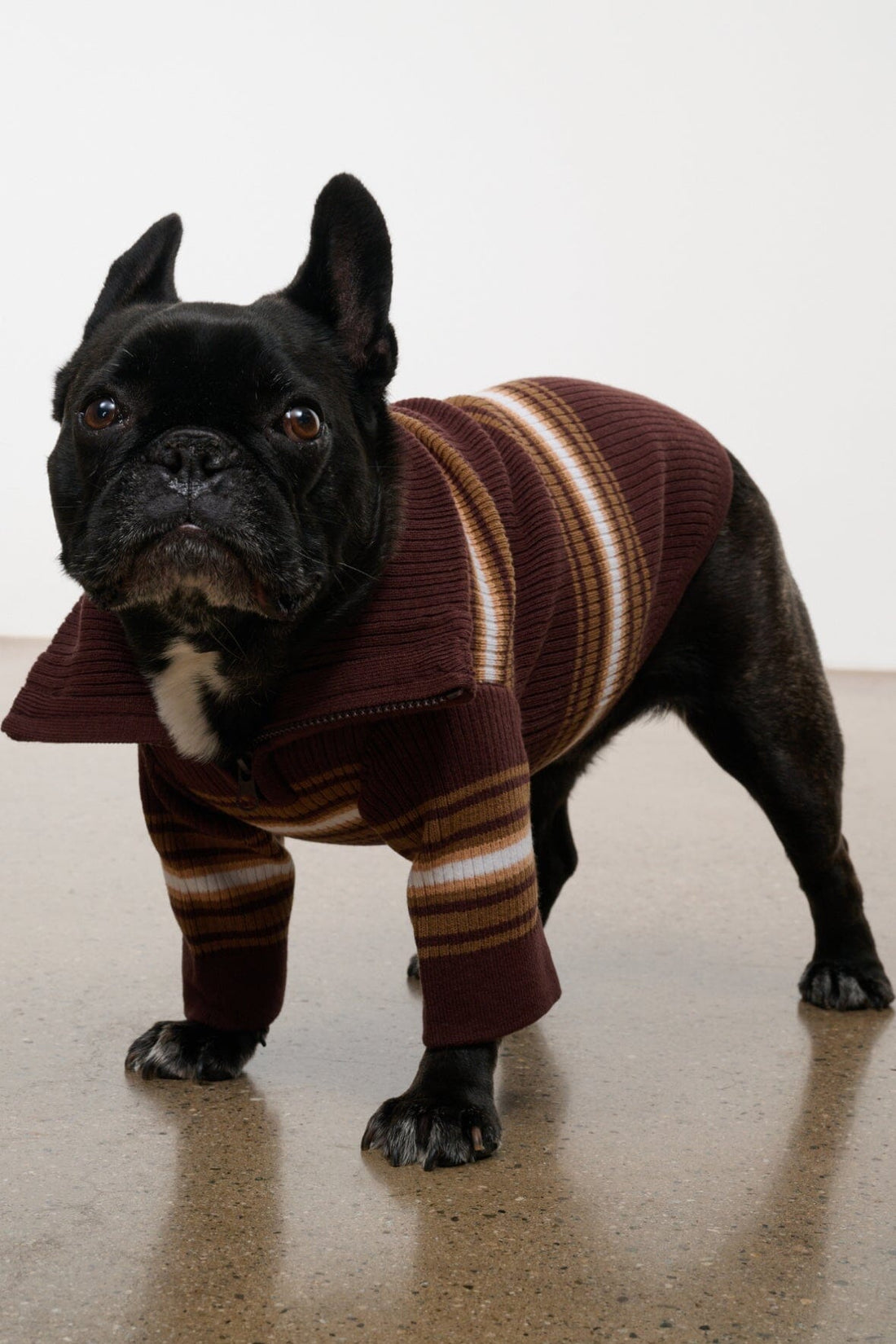 Pet Hampton Sweater | Tobacco Stripe — 1