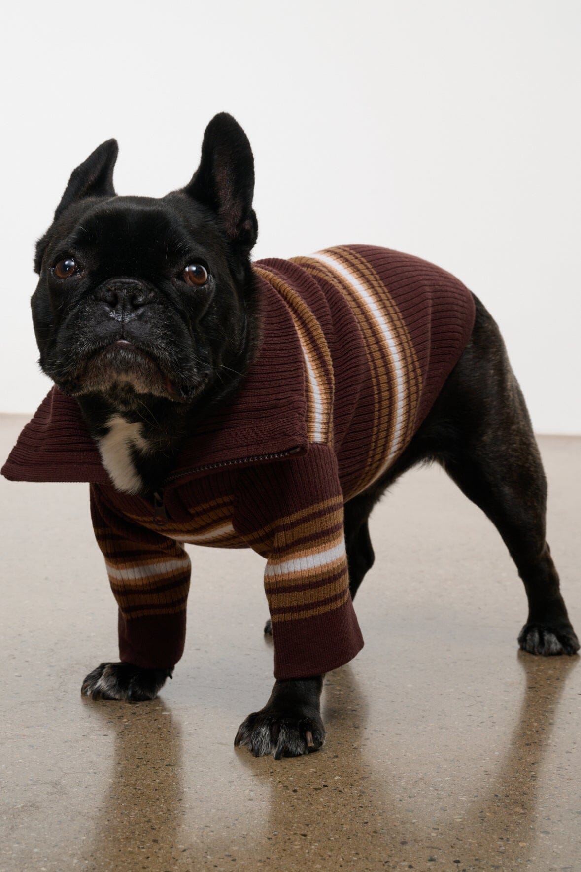 Pet Hampton Sweater | Tobacco Stripe — 1