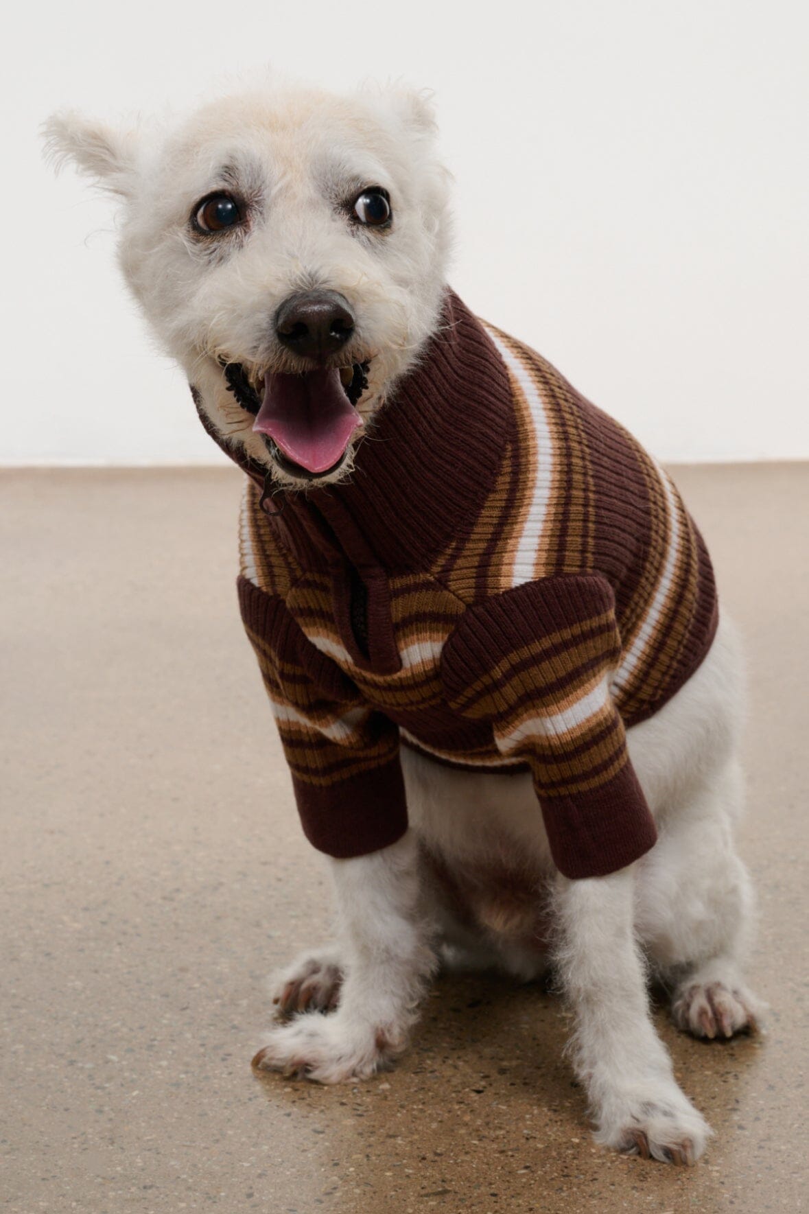 Pet Hampton Sweater | Tobacco Stripe — 5