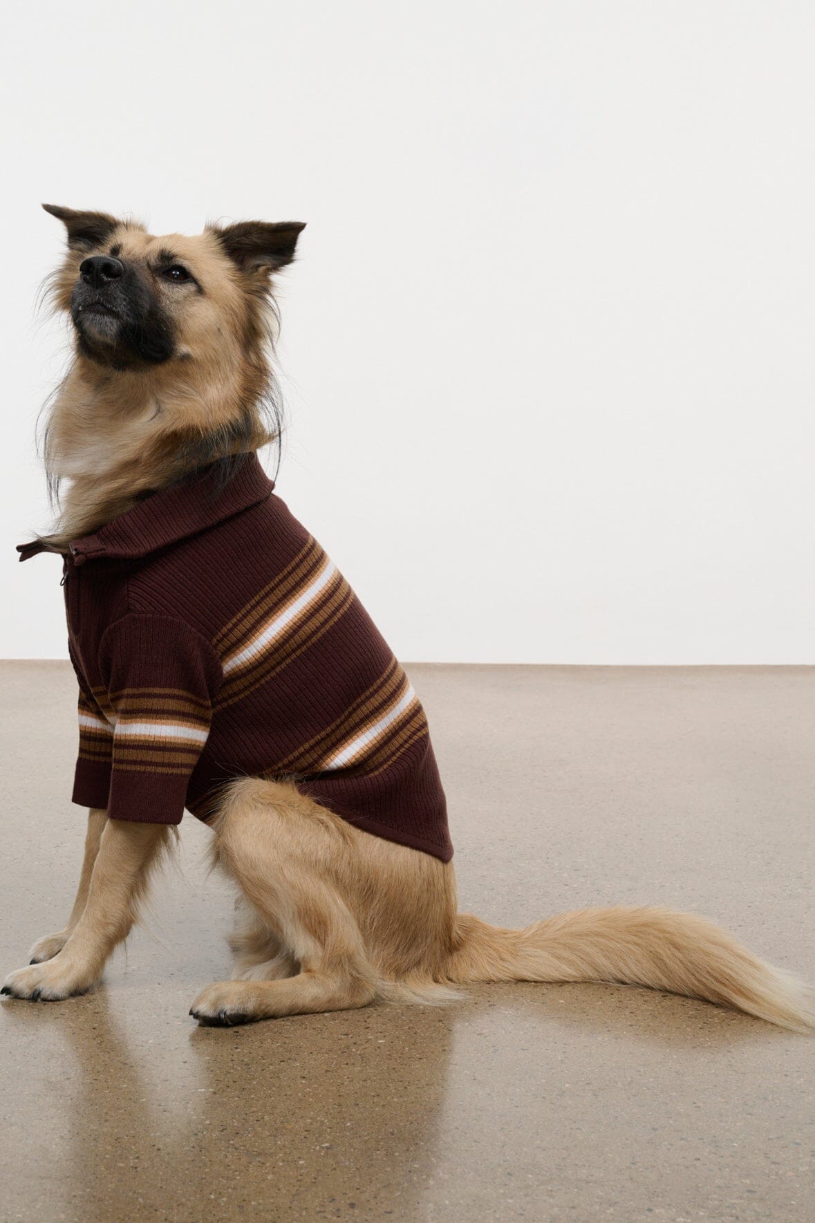 Pet Hampton Sweater | Tobacco Stripe — 6