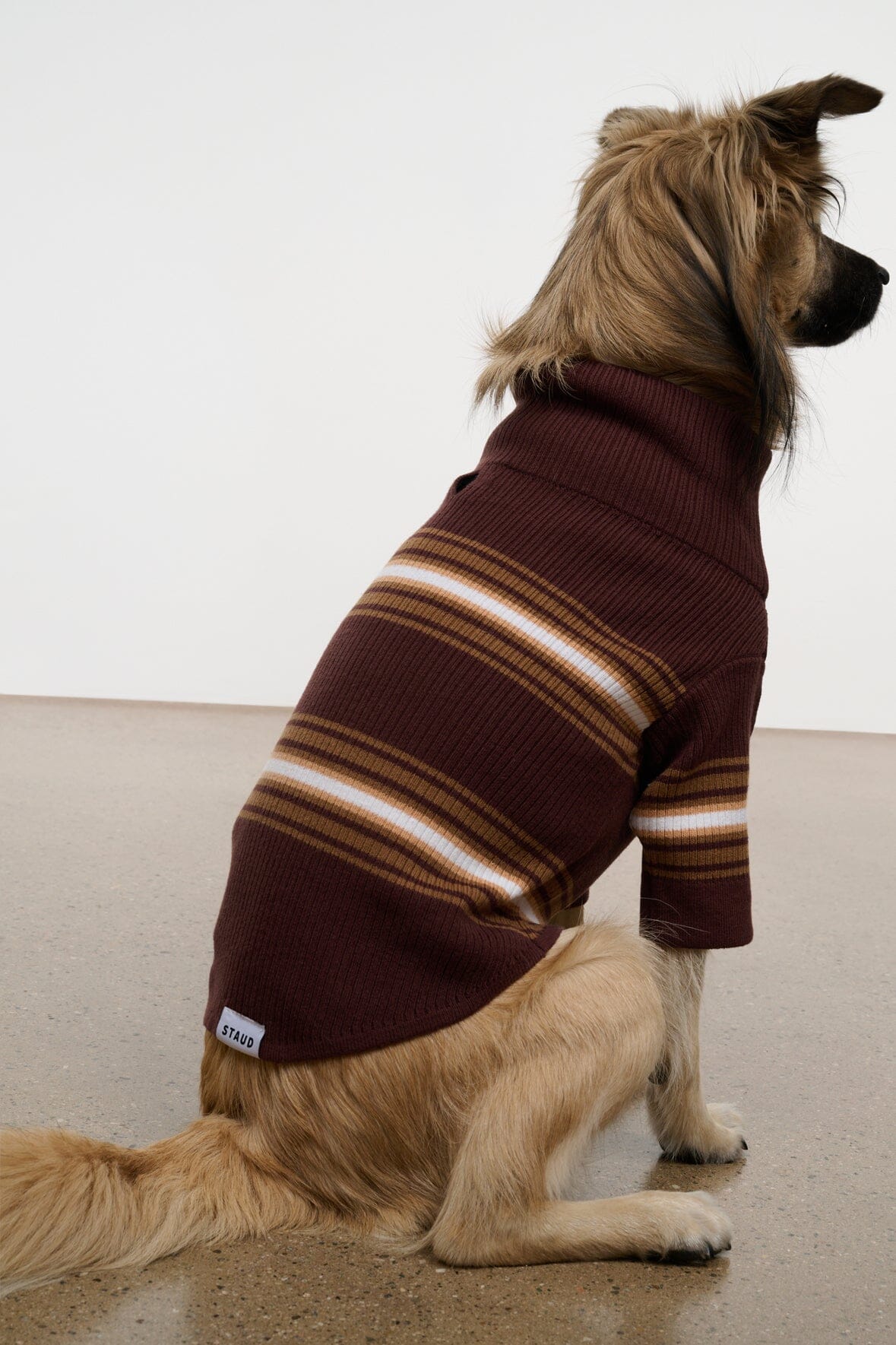 Pet Hampton Sweater | Tobacco Stripe — 7