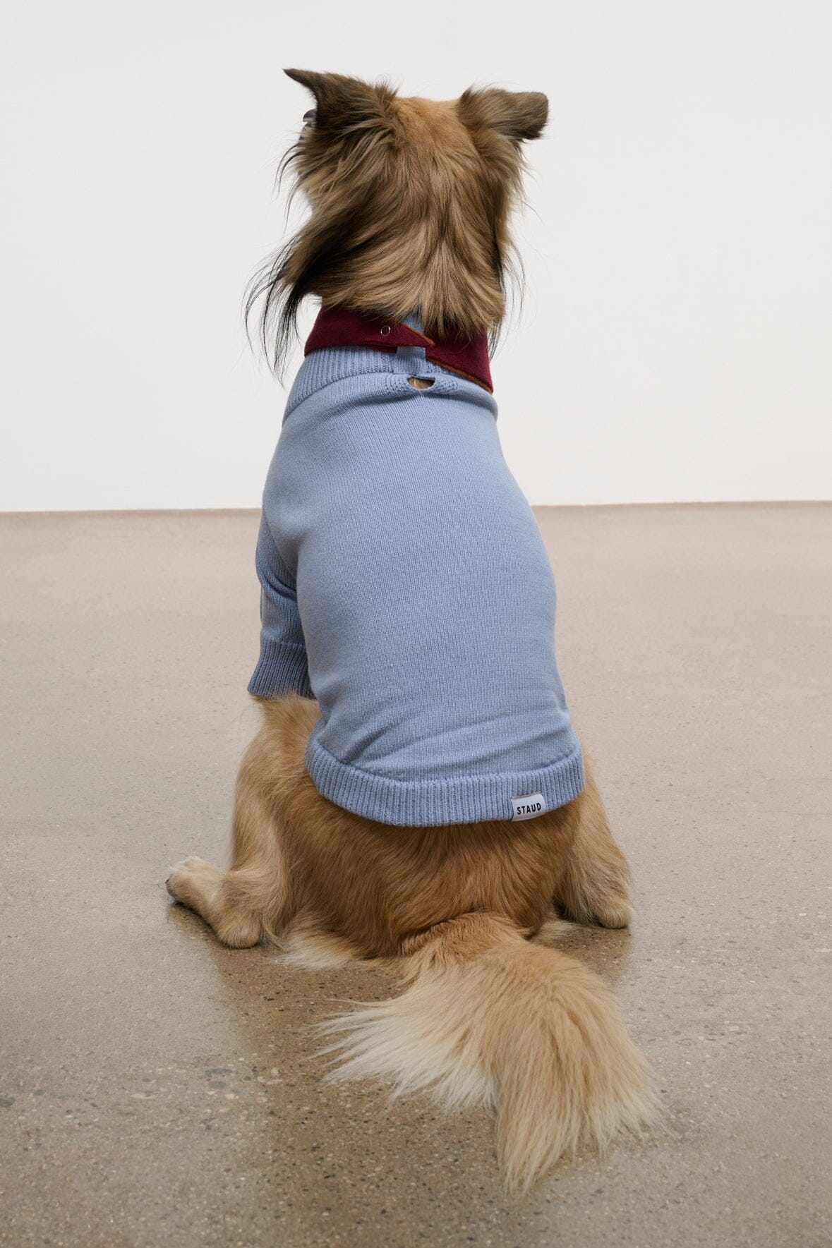 Pet Winston Sweater | Powder Blue Multi — 4
